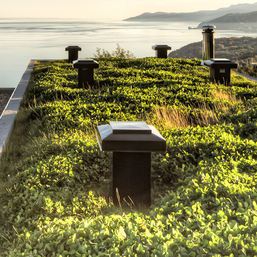 Réalisation de toiture végétale ou toit vert